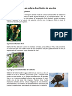 Aves y animales en peligro de extinción en América