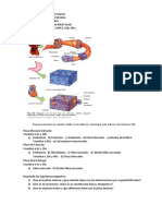 Guia Tejido Muscular