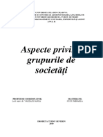 aspecte privind grupurile.docx