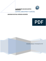 Poder Legislativo, Ejecutivo Y Judicial: Universidad Villasunción Aguascalientes Politíca Criminológica