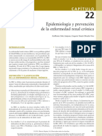 Enfermedad Renal Cronica