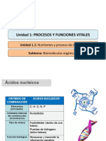 ADN ARN procesos vitales