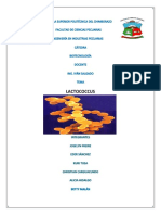 Lacto Coccus