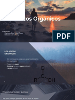 Quimica Organica Acido