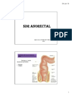 13 Sindromul Anorectal