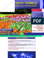3-investigacionen10pasos-sustentoteorico-120920090148-phpapp02.pdf