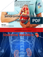 Sindrome Nefrotico y Nefritico Pediatria Mimu