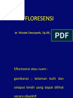Effloresensi: Dr. Wiwiek Dewiyanti, SP - KK, M.Kes