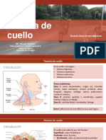 Trauma de Cuello