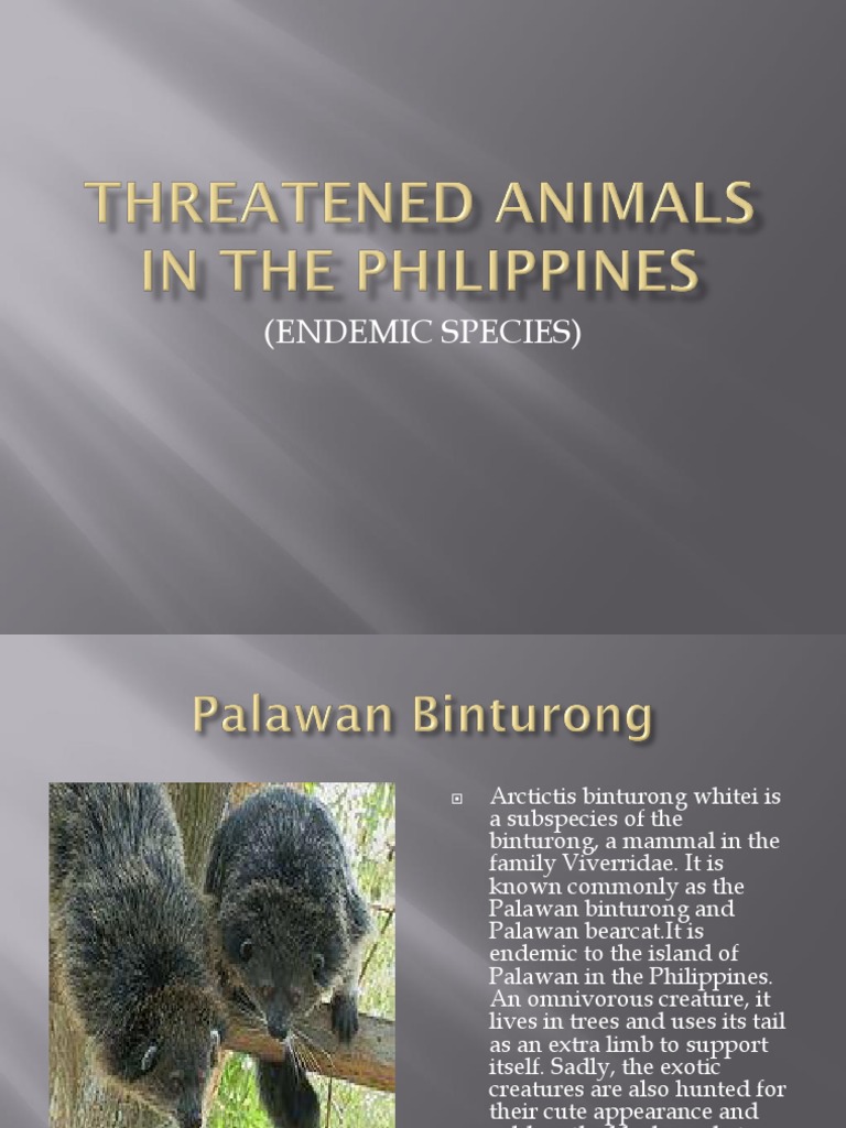 Endangered Wildlife of the Philippines | PDF | Paravians | Birds
