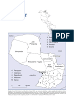 2 - Situacion de Salud de Paraguay PDF