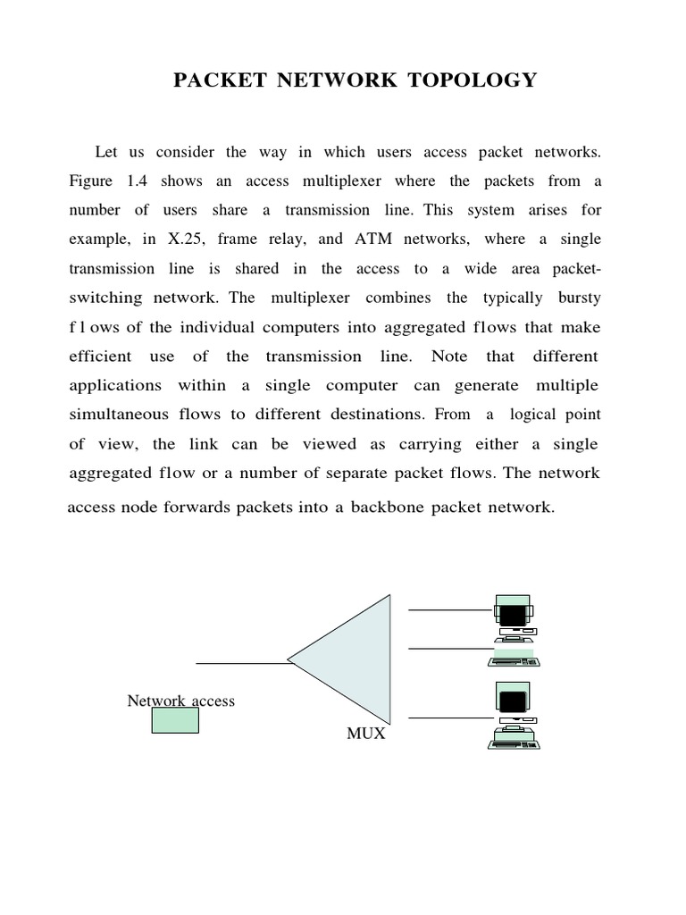 Understanding Packet Network Topology | PDF | Router (Computing ...