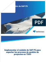 203356691-Presentacion-Overview-PS.pptx
