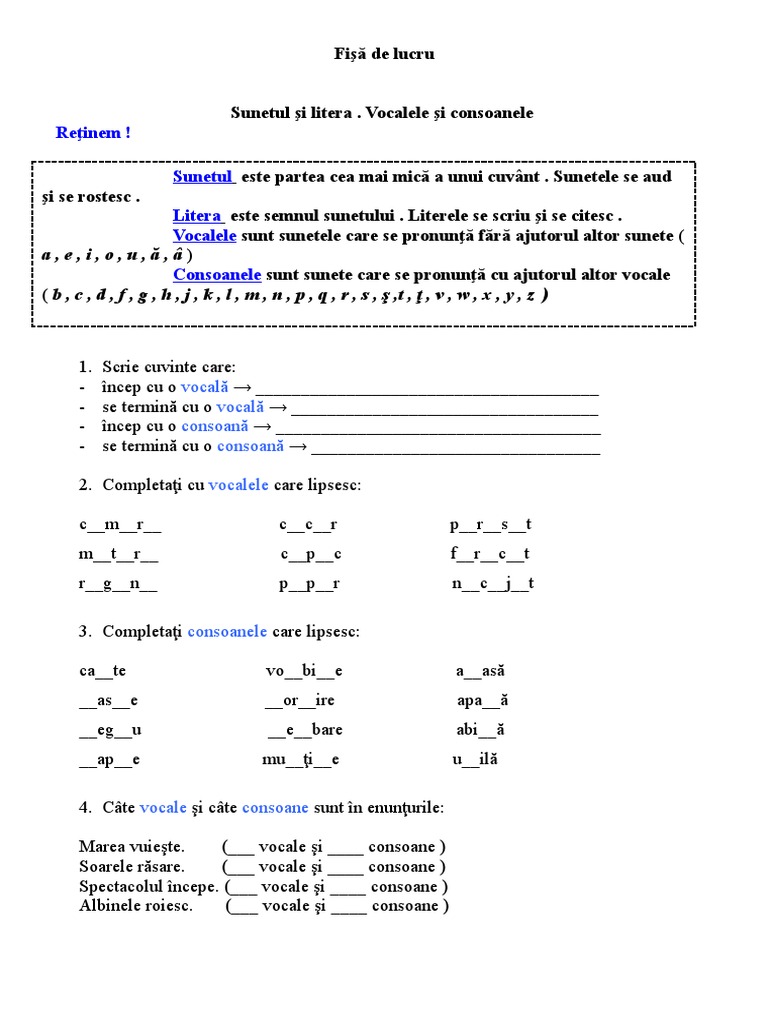 Fisa De Lucru Vocale Si Consoane 1