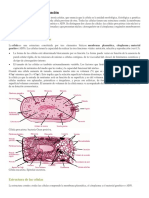 La Célula. Estructura y Funcion.pdf