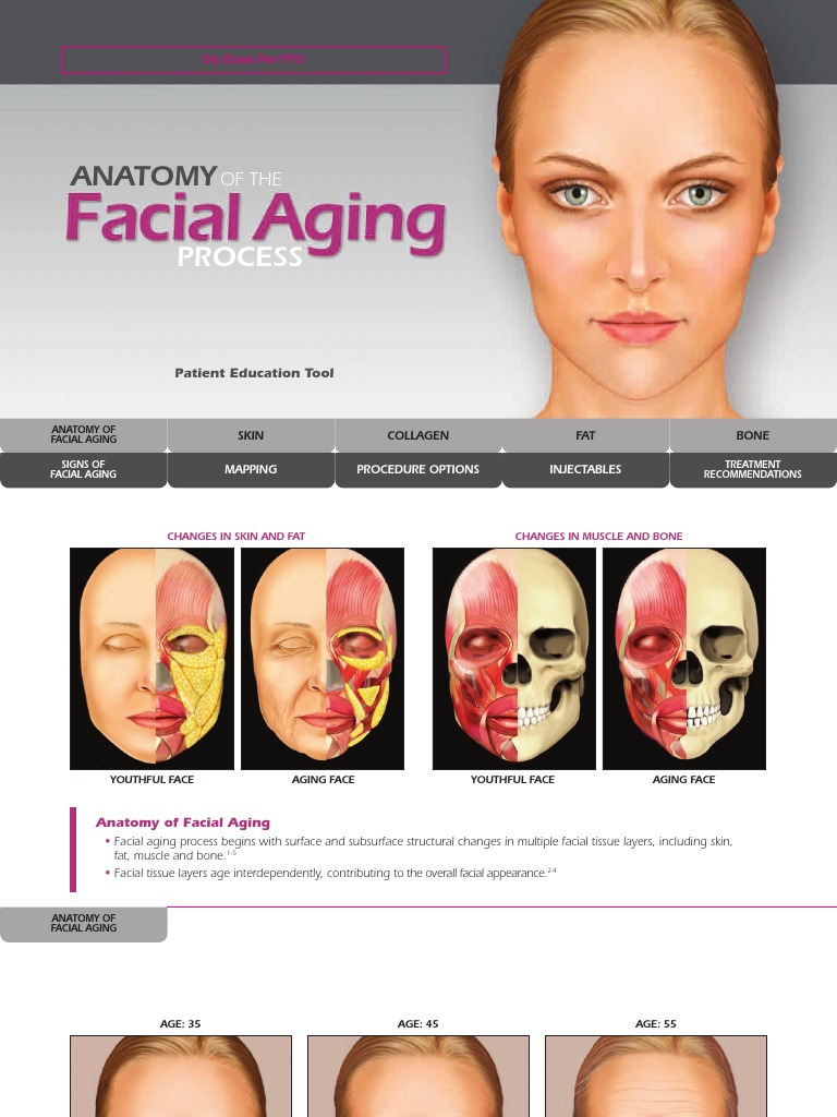 Facial Aging Tool Skin Wrinkle