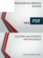 Cultura, Um Conceito Antropológico