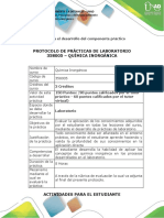 Protocolo para el desarrollo del componente práctico.pdf