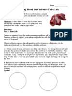 Comparing Plant and Animal Cells Lab