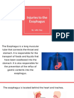 Injuries To The Esophagus