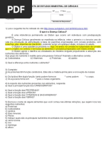 1 ano 03 kobal