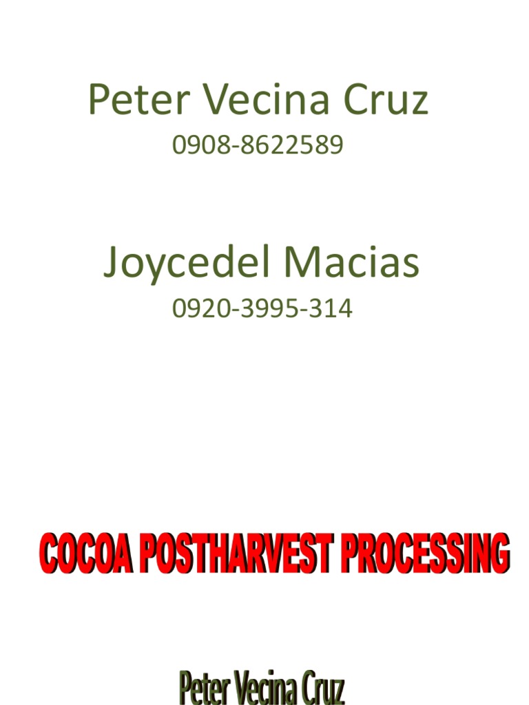 Cacao Production PDF PDF Cocoa Bean Chocolate