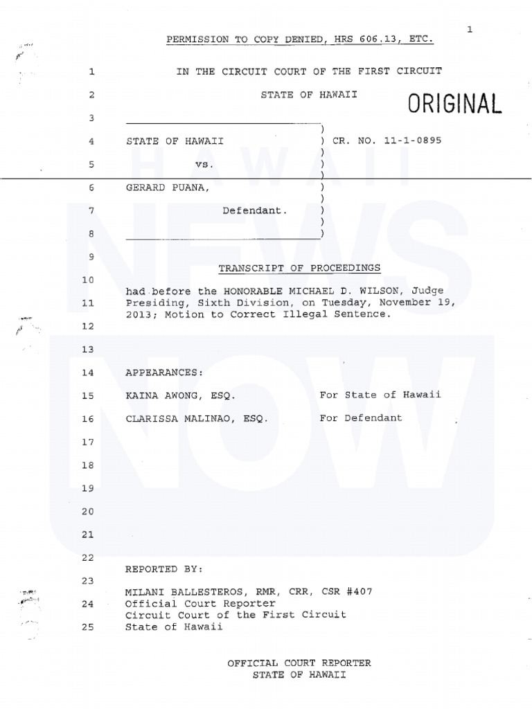 Court Record Pdf