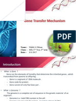 Gene Transfer Mechanism 