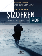 Wulf Dorn - Şizofren