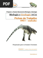 Netexplicaprepararexame Edição 10º Ano -2010