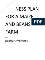 Business Plan For A Maize and Beans Farm