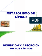 Metabolismo de Los Lipidos