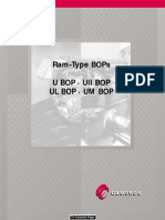 237568456-BOP-CAMERON-pdf.pdf