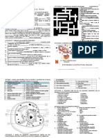 Actividades de Evaluación -Celula