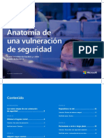 Anatomia de Vulneracion de Segutidad