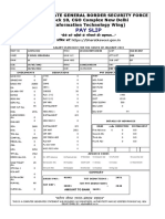 Pay Slip: Directorate General Border Security Force Block 10, CGO Complex New Delhi (Information Technology Wing)