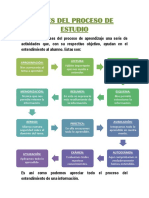 Fases Del Proceso de Estudio