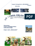 Proiect Tematic Grupa Mare D