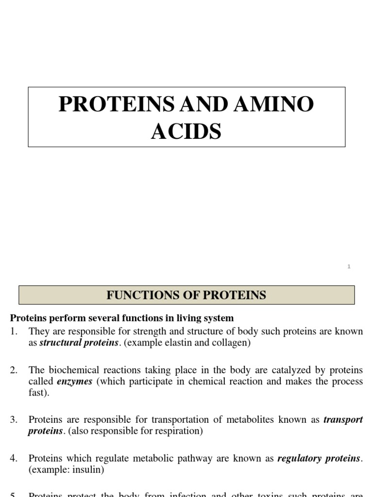 Understanding the Building Blocks of Proteins An InDepth Look at