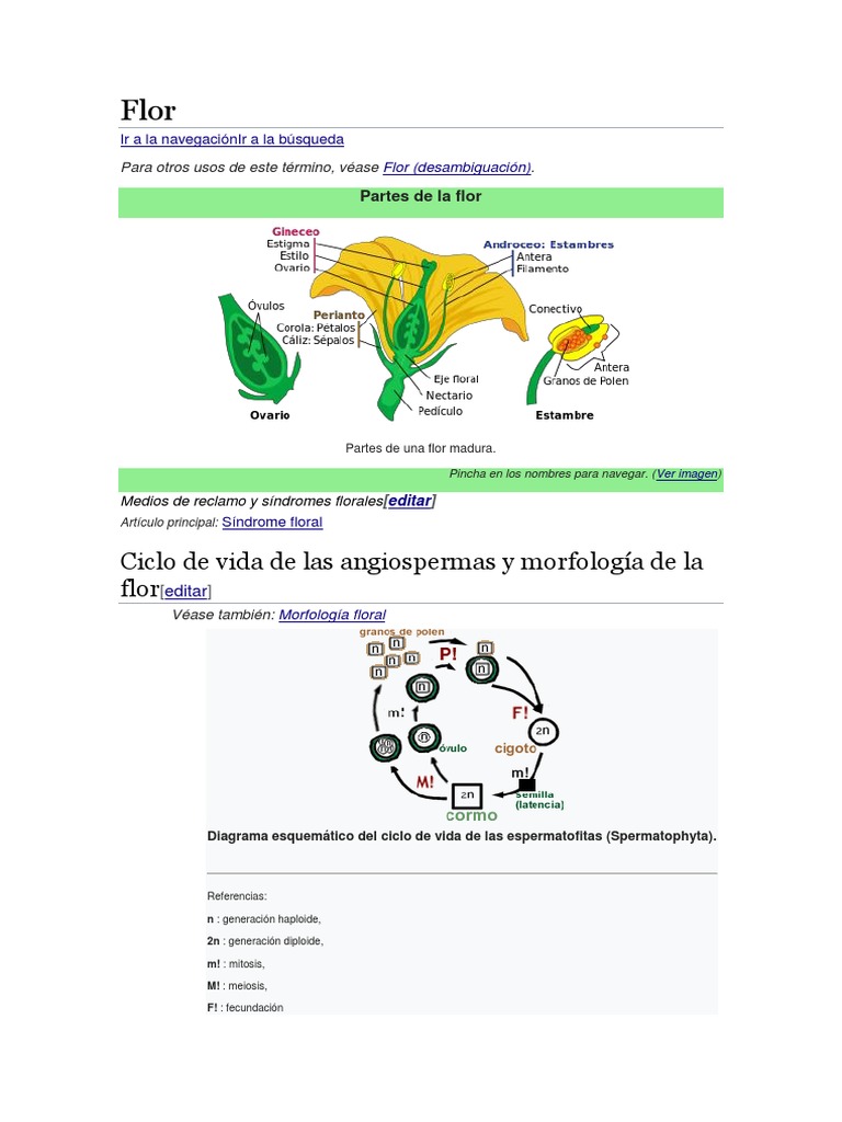 Ciclo de Vida de Las Angiospermas y Morfología de La Flor: para Otros ...