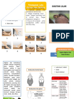 Leaflet Penyuluhan Gigitan Ular