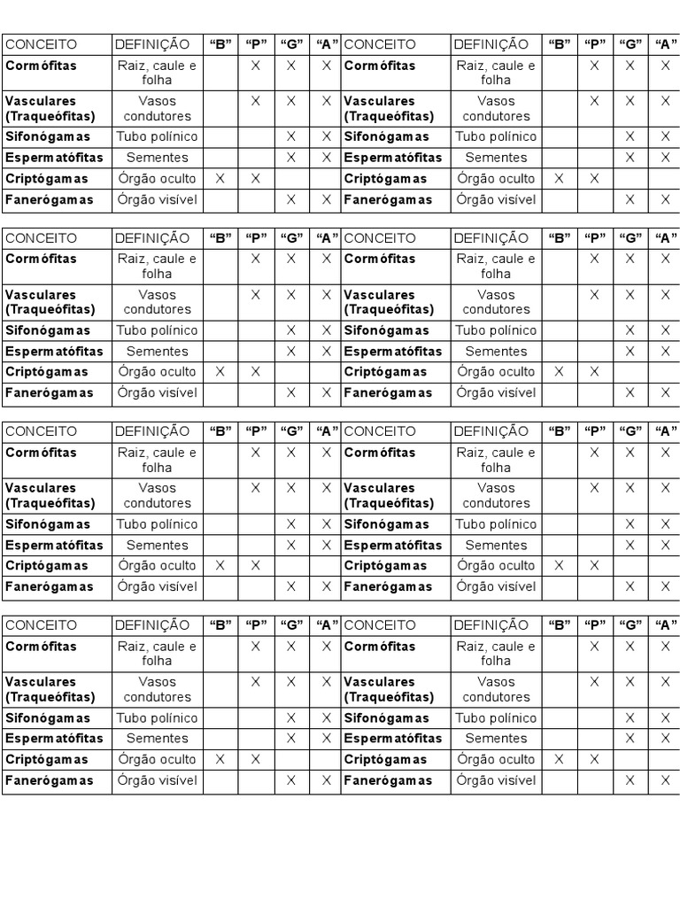 Tabela Reino Plantae PDF | PDF | Primeiros seres vivos do Período  Paleozoicos | Morfologia vegetal, image size:768x1024