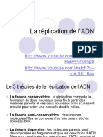 La Replication de Adn