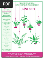 June 2019 Herald 