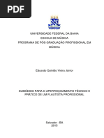 Subsídios Para o Aperfeiçoamento Técnico e Prático de Um Flautista Profissional