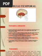 Lobulo Temporal