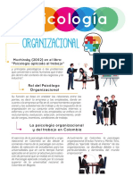 Psicologia Organizacional