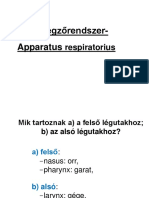 07 Légzőrendszer