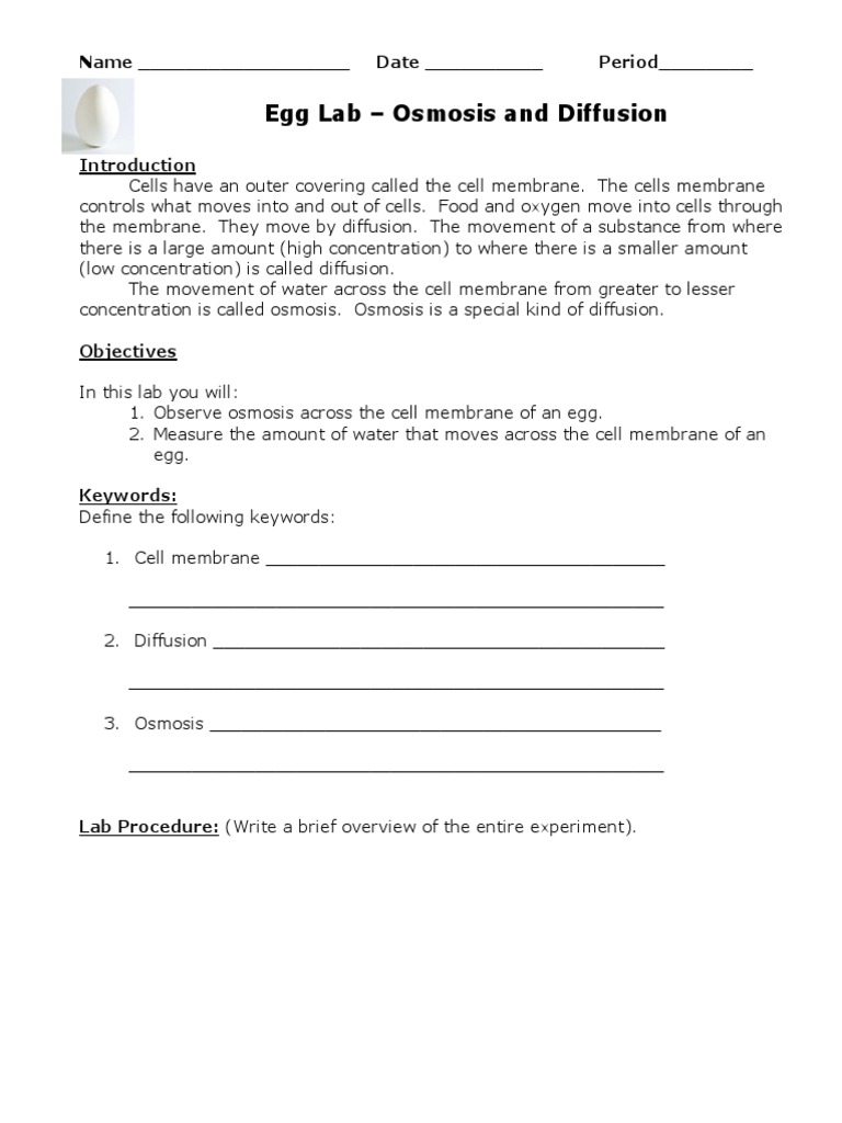 Egg Lab Osmosis and Diffusion Name Date Period PDF Osmosis