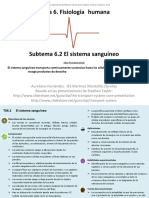 6 2 El Sistema Sanguíneo